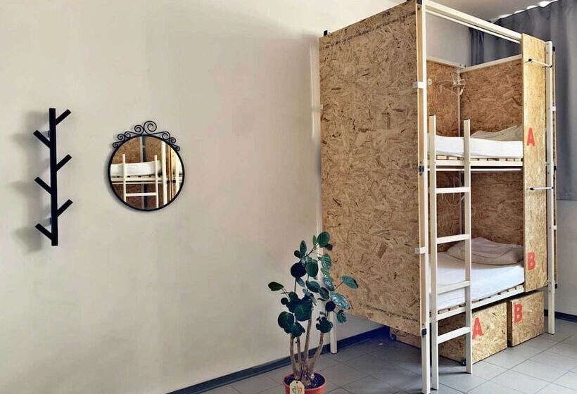 تختخواب در اتاق مشترک, Mio Hostel