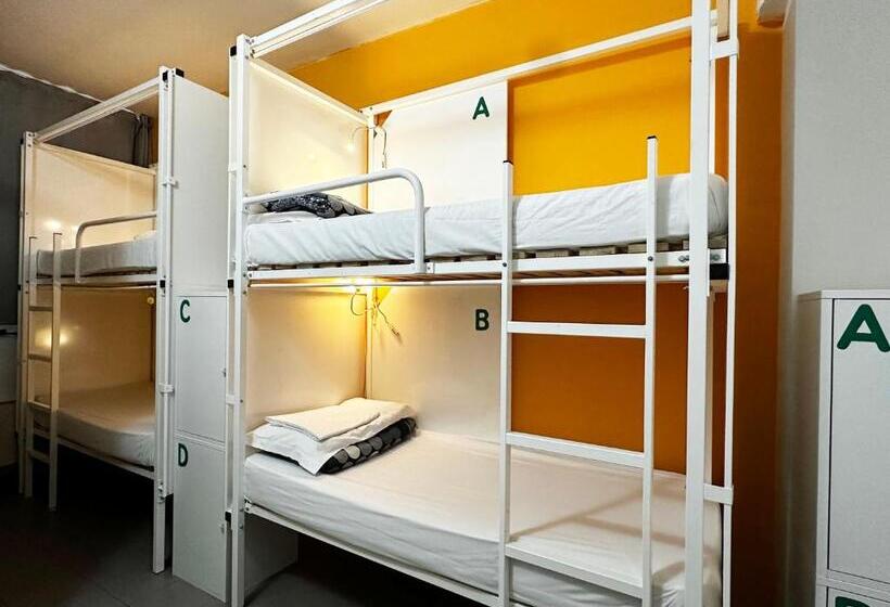 Bed in Shared Room with Shared Bathroom, Mio Hostel