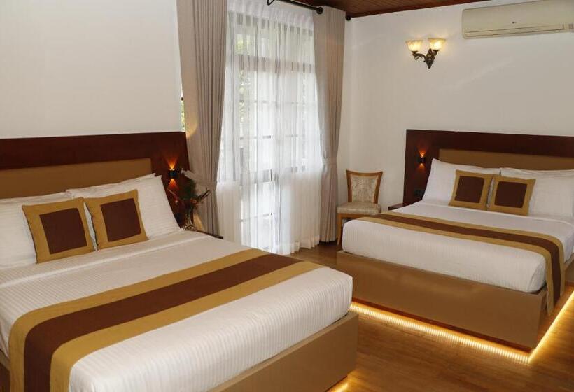 Cameră Familiară, King Of Kandy