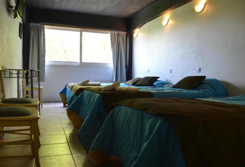 四人标准间, Plaza Milenium