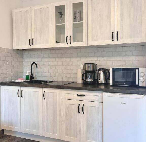 １ベッドルームのスーペリアアパートメント, Apartamenty Nexo