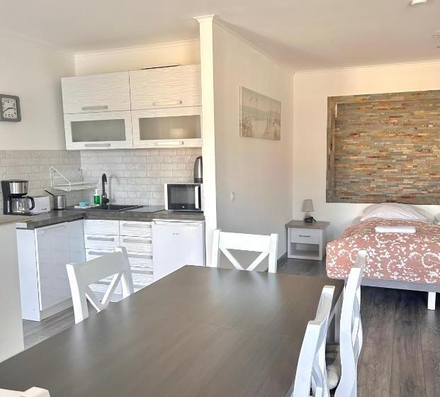 إستوديو قياسى, Apartamenty Nexo