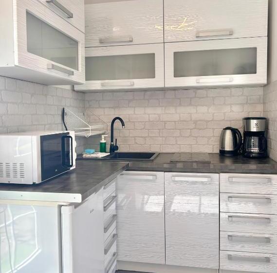 شقة ديلوكس غرفة واحدة, Apartamenty Nexo