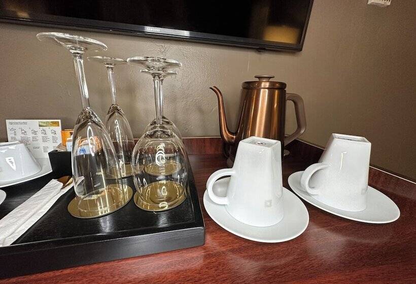 高级大房间, Tb Hotel Miami