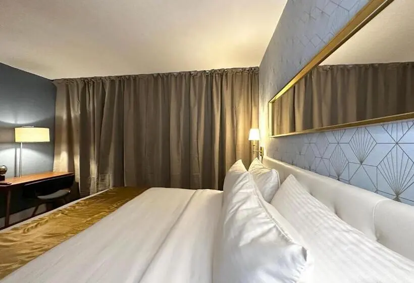 اتاق سوپریور با تخت بزرگ, Tb Hotel Miami