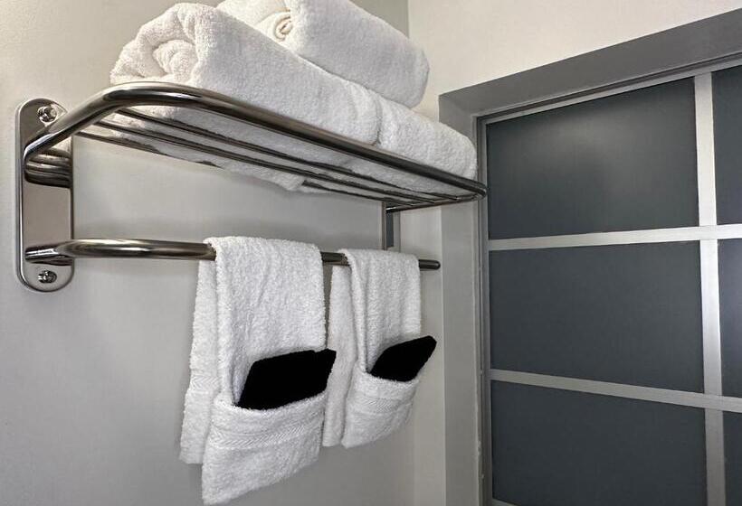 带大床的高级房间, Tb Hotel Miami