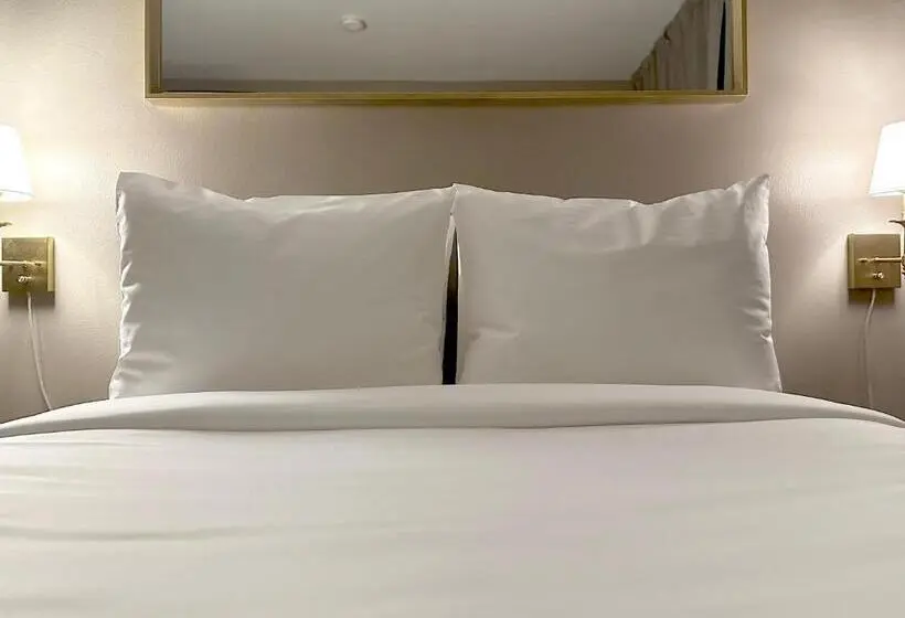 اتاق استاندارد برای معلولان, Tb Hotel Miami