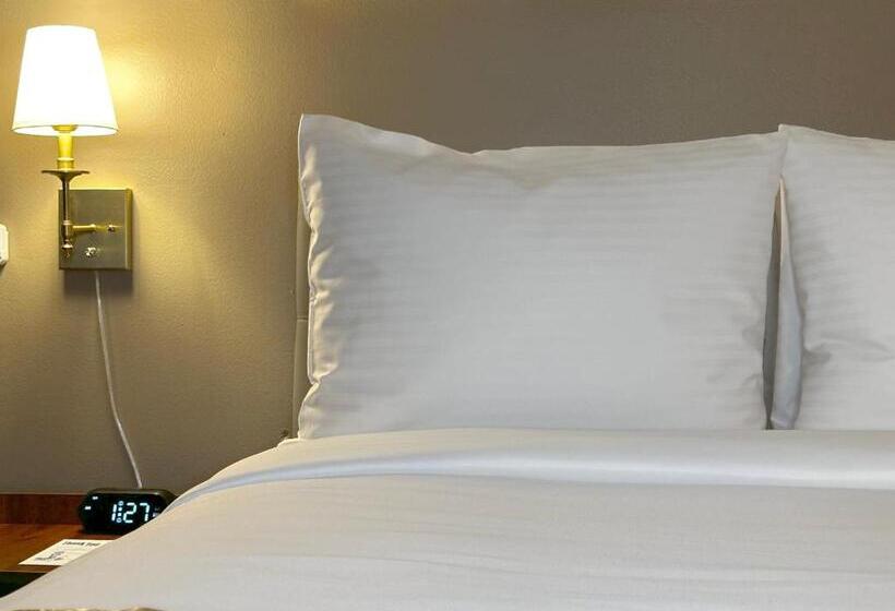 适合残疾人使用的标准间, Tb Hotel Miami