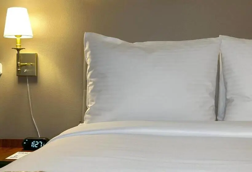 اتاق استاندارد برای معلولان, Tb Hotel Miami