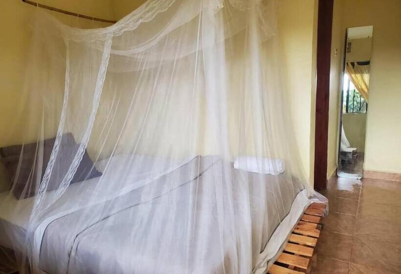 اتاق استاندارد, Gaia Eco Hub Bnb