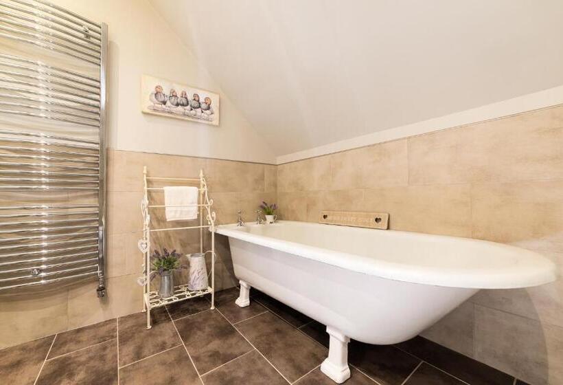 חדר סטנדרט יחיד, Kylelachin