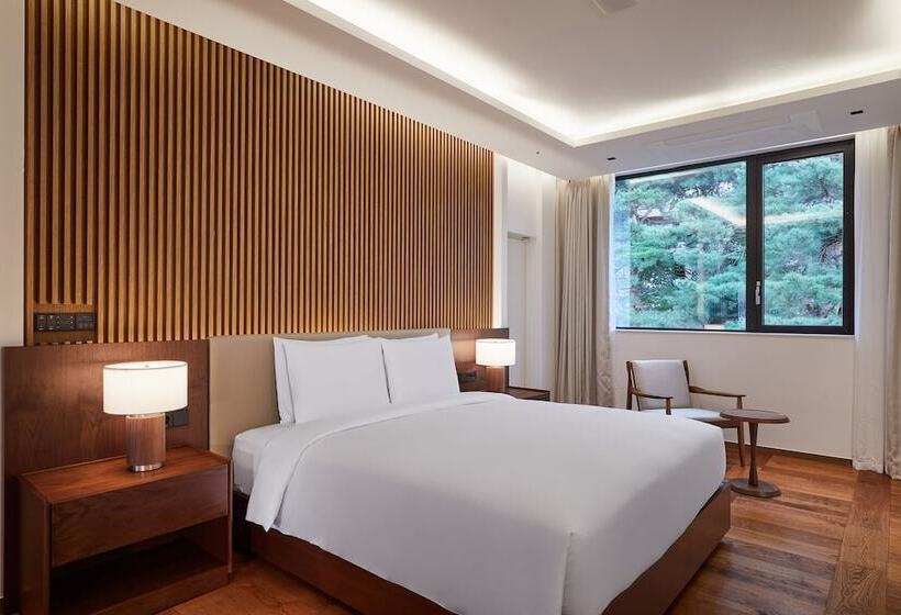 Номер Стандарт, Paraspara Seoul