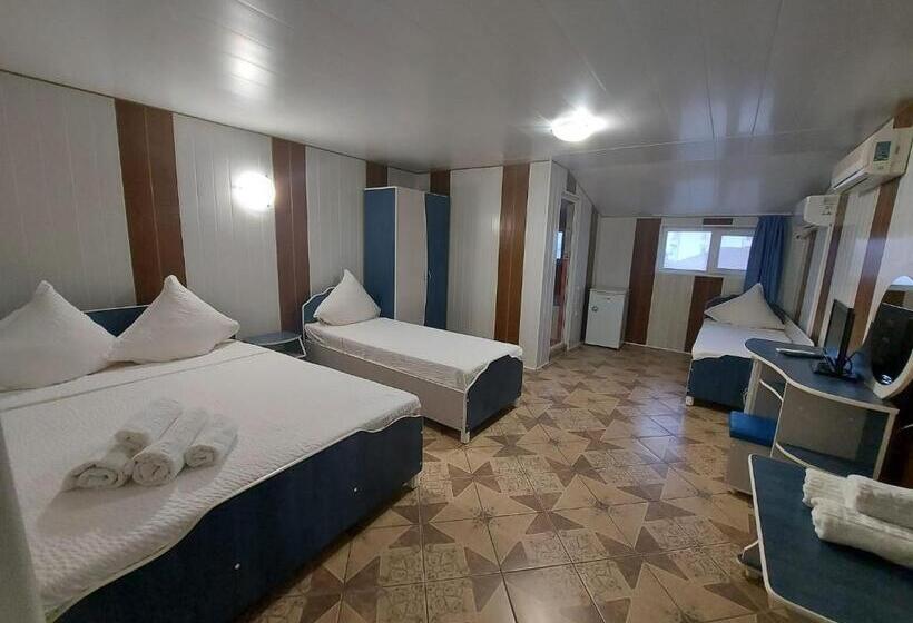 اتاق استاندارد چهار تخته, Casa Simona