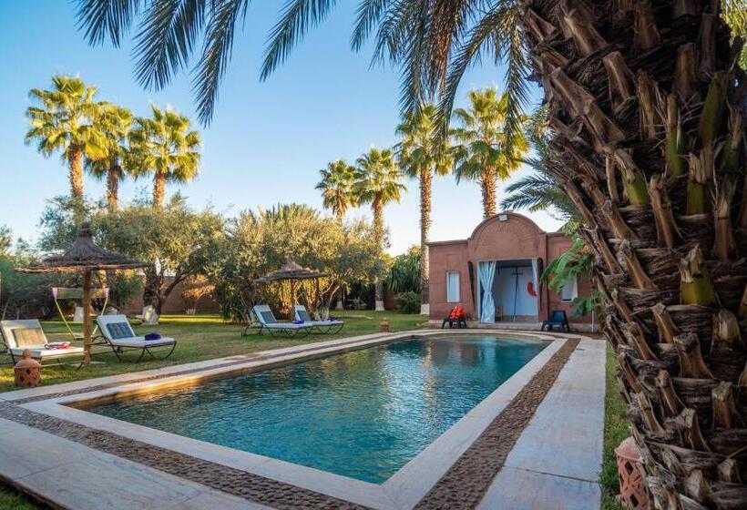 ویلای یک اتاق خوابه با استخر شنا, Villa Septha