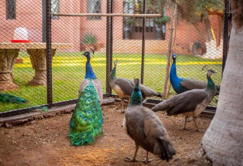 ویلای یک اتاق خوابه با استخر شنا, Villa Septha