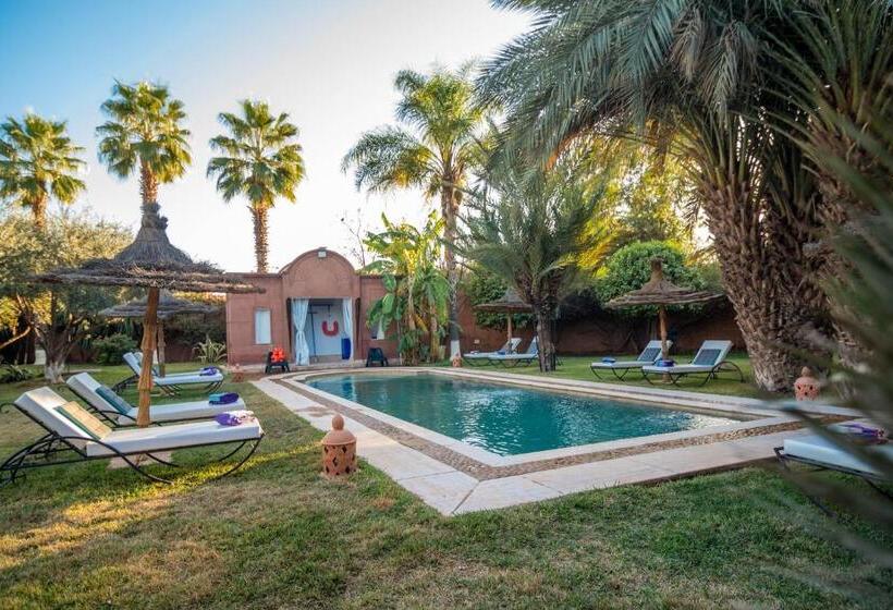 ویلای یک اتاق خوابه با استخر شنا, Villa Septha