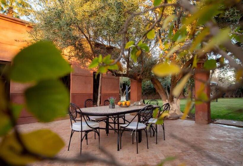 ویلای یک اتاق خوابه با استخر شنا, Villa Septha