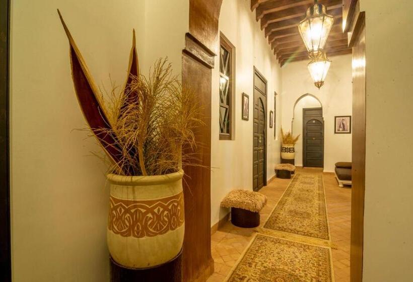 ویلای یک اتاق خوابه با استخر شنا, Villa Septha