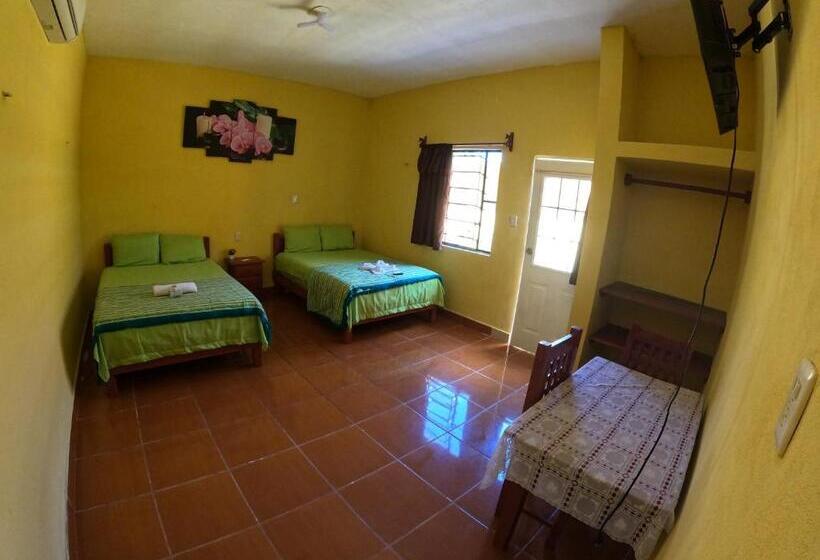 غرفة قياسية, Laguna Coba