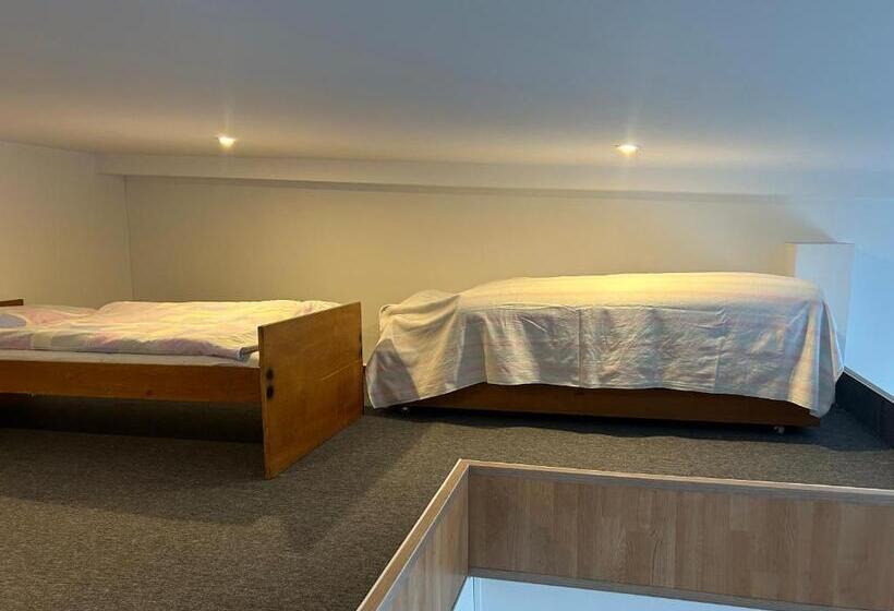 חדר סטנדרט יחיד, Penzión Imrich Car