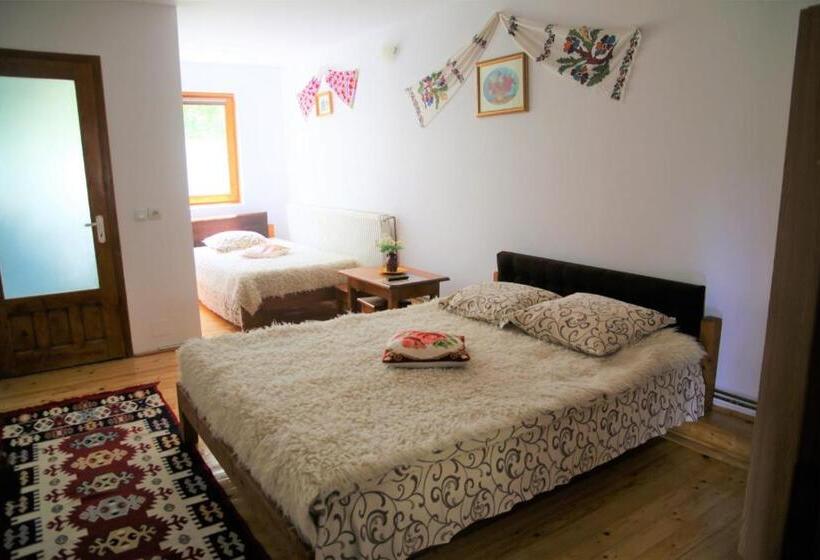 Дом 1 Спальня, Pensiunea Liana