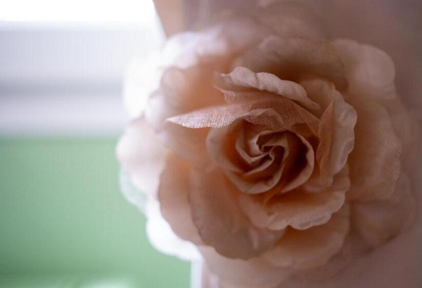 חדר דלוקס, Parc De Coulassy