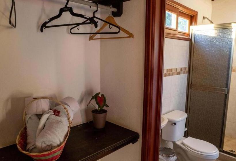 Номер Стандарт, Y Restaurante La Cachamera