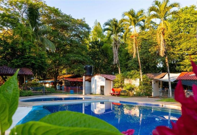 Номер Стандарт, Y Restaurante La Cachamera