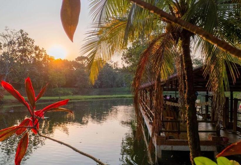 Номер Стандарт Трехместный, Y Restaurante La Cachamera