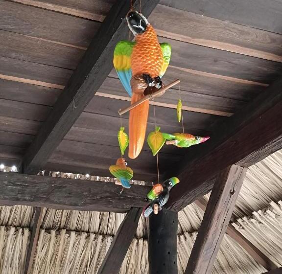 غرفة سوبيريور, El Paraiso De Carmen