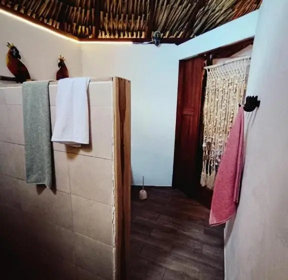 デラックスバンガロー, El Paraiso De Carmen
