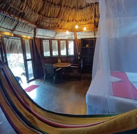 デラックスバンガロー, El Paraiso De Carmen