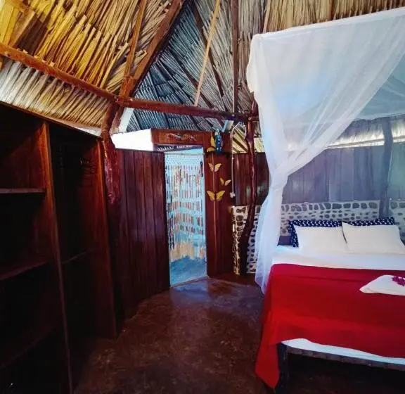 デラックスバンガロー, El Paraiso De Carmen