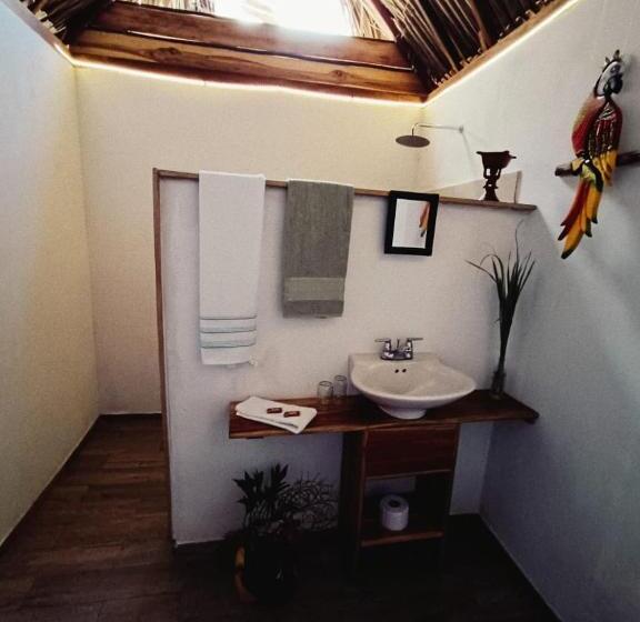 بنجلو ديلوكس, El Paraiso De Carmen