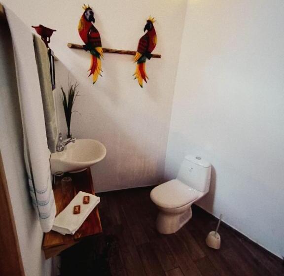 بنجلو ديلوكس, El Paraiso De Carmen