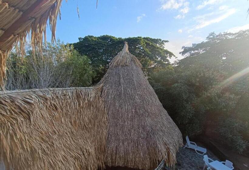 بنجلو ديلوكس, El Paraiso De Carmen