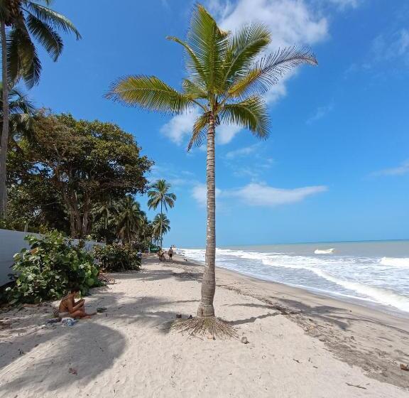 غرفة قياسية مزوَّدة بتراس, El Paraiso De Carmen