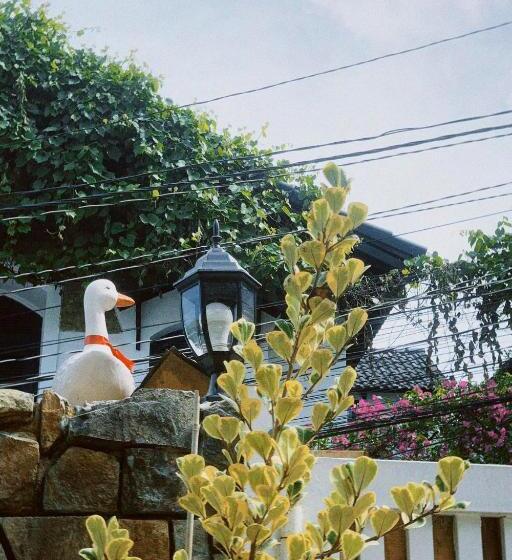اتاق استاندارد چهار تخته, Chái Nho Homestay