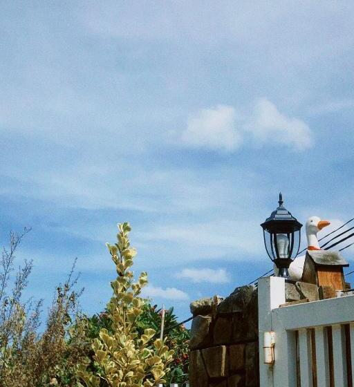 استودیوی استاندارد, Chái Nho Homestay