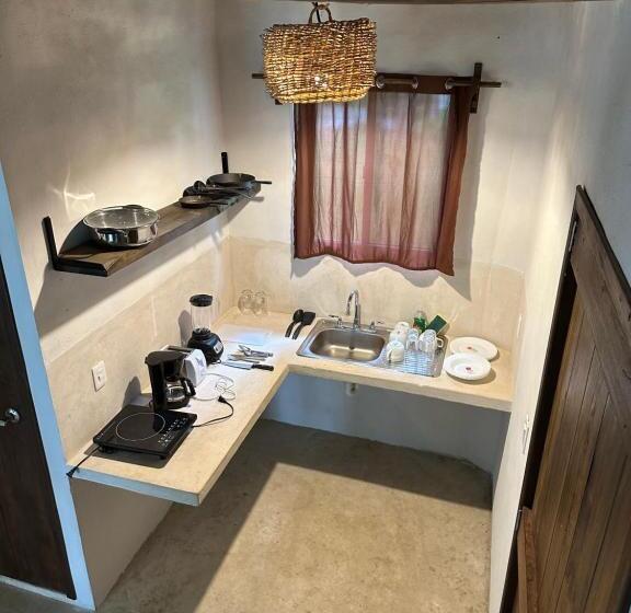 스탠다드 전망 룸, Xanthus