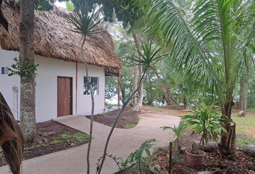 스탠다드 전망 룸, Xanthus