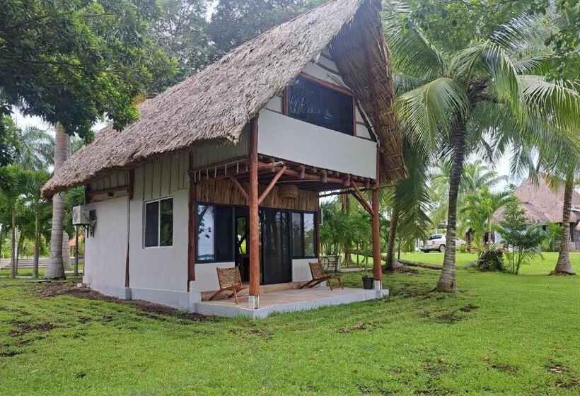 스탠다드 전망 룸, Xanthus