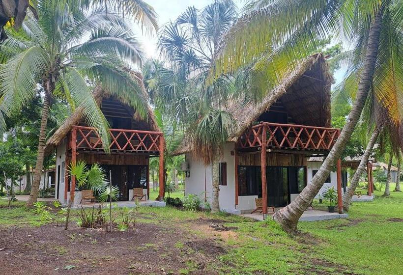 스탠다드 전망 룸, Xanthus