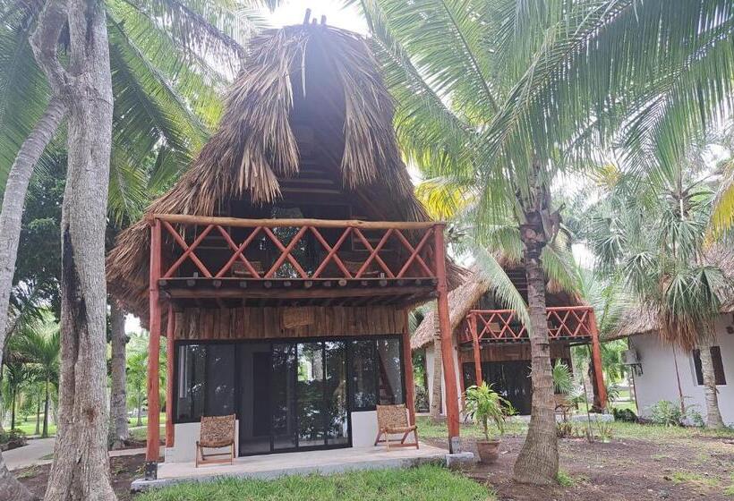 스탠다드 전망 룸, Xanthus