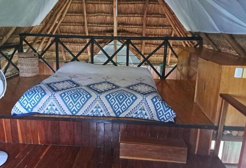 침실 1개 아파트, Xanthus