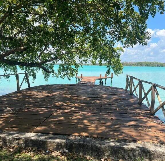 침실 1개 아파트, Xanthus