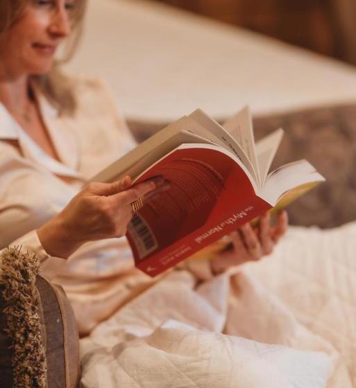 스탠다드 룸 킹사이즈 침대, Messina Inn