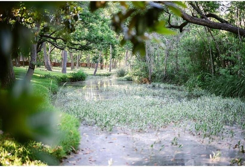 스탠다드 룸, Messina Inn