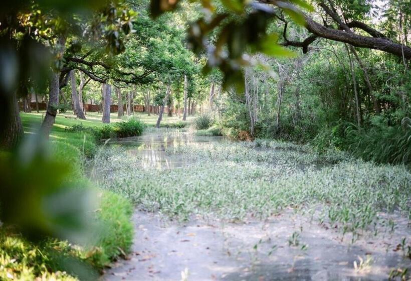 디럭스 4인 룸, Messina Inn