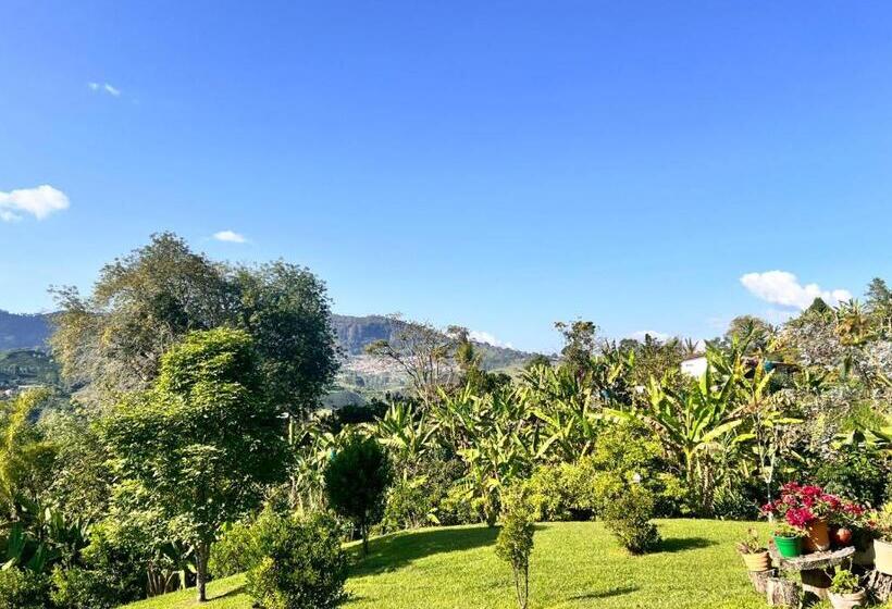 غرفه قياسيه سريرين مزدوجين, Residencia Artistica Y Hostal Los Colores